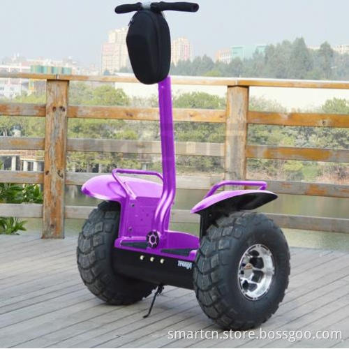 off-Road Street Electric Scooter for Entertainment